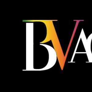 cropped-logo-bv-agency-black.jpg